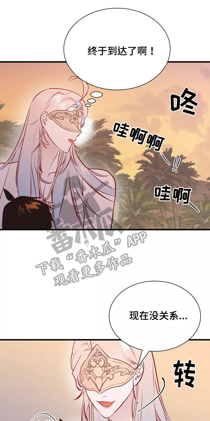 17.jpg