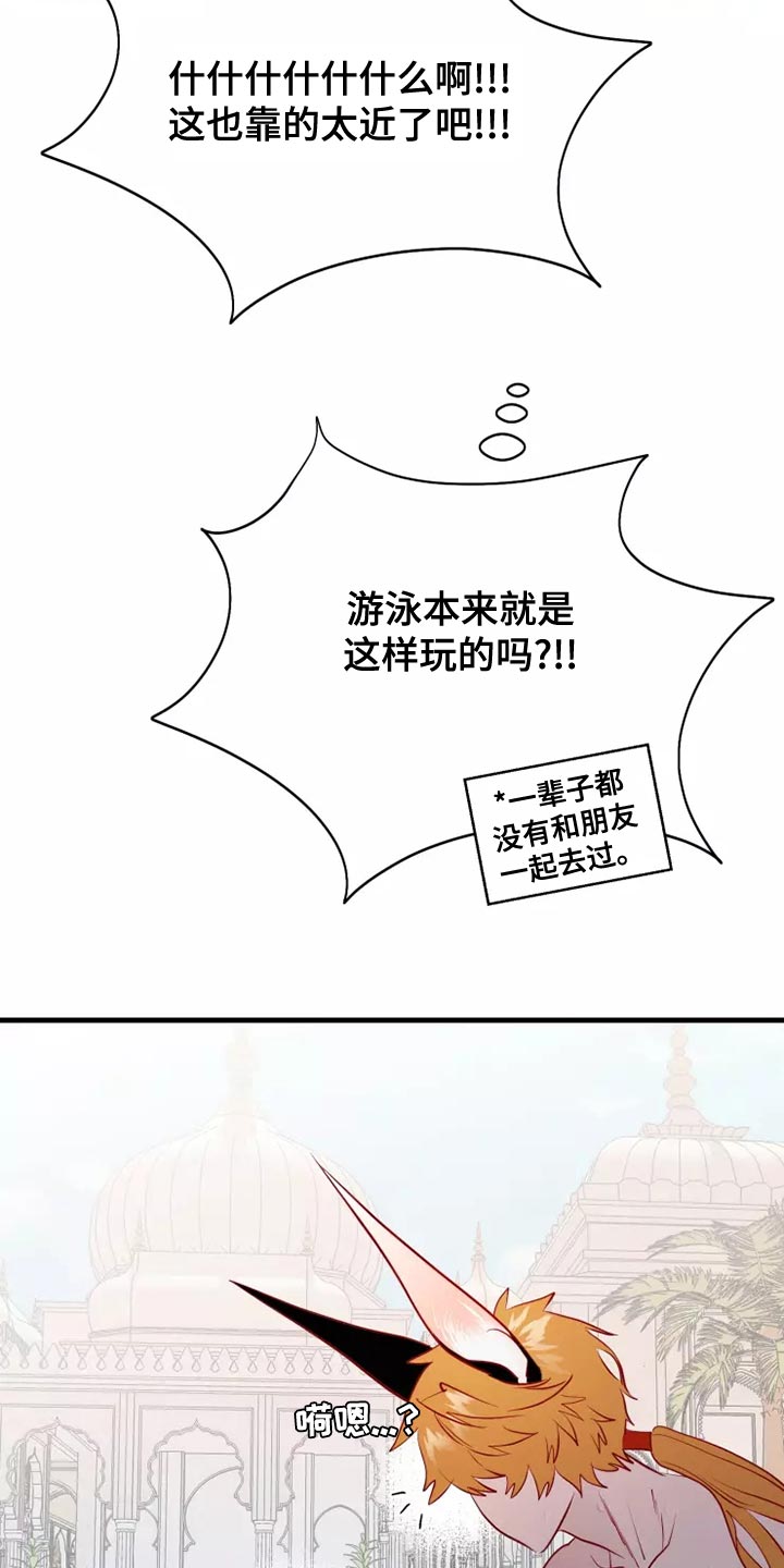 23.jpg