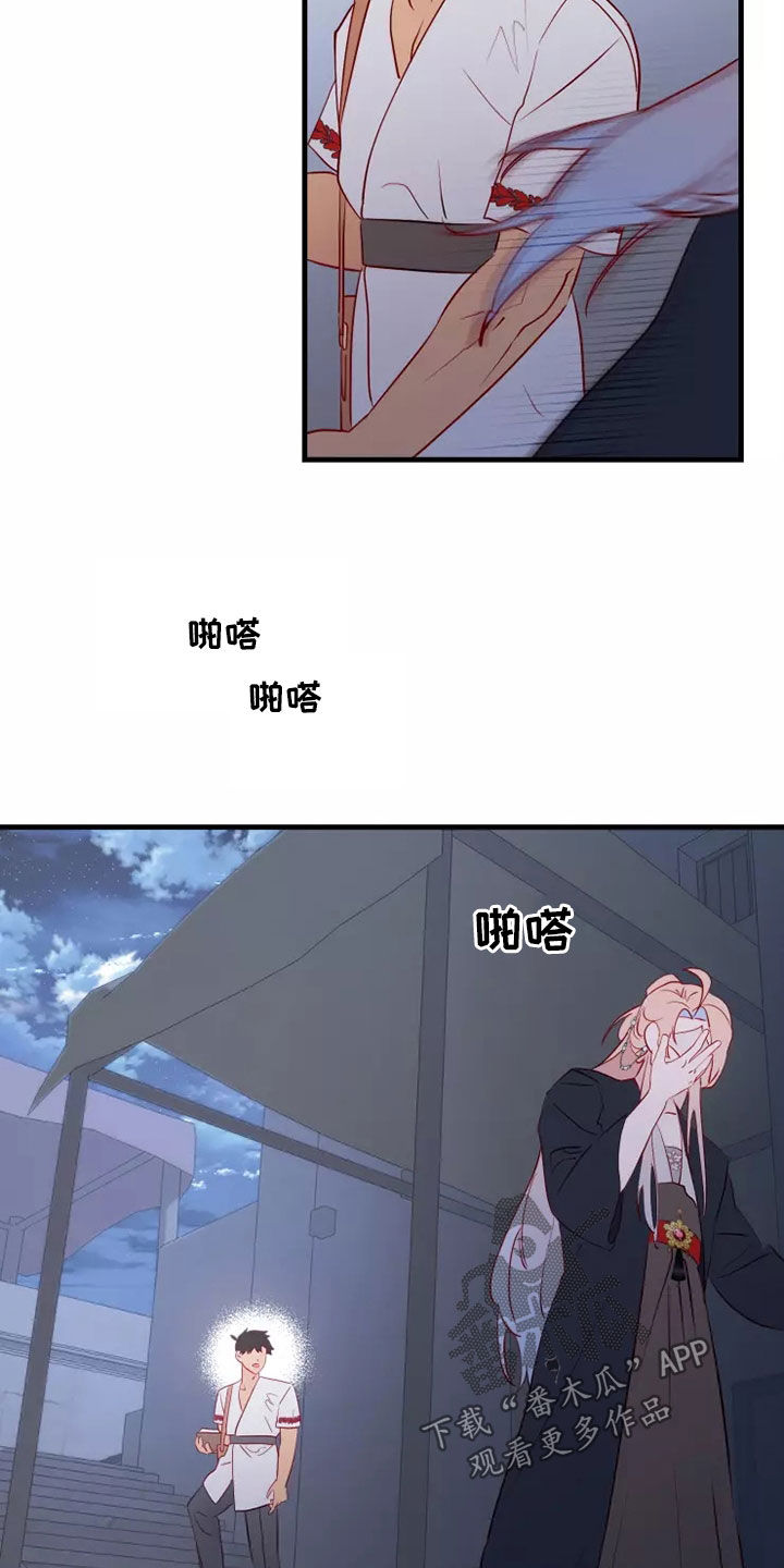 15.jpg