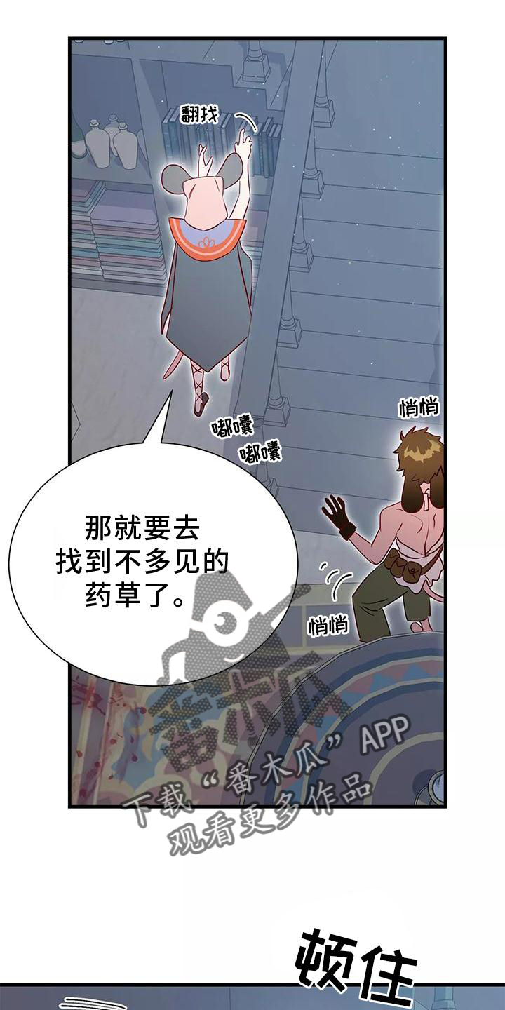 13.jpg
