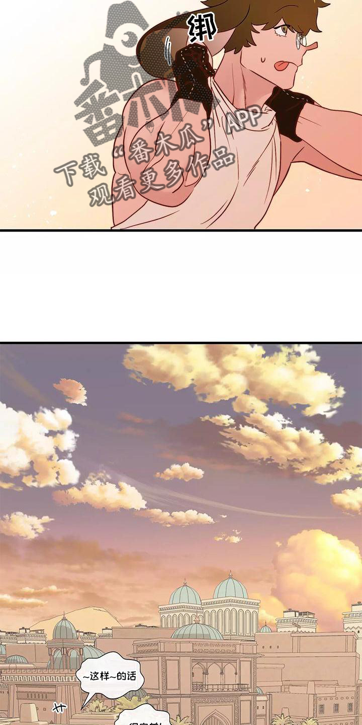 19.jpg