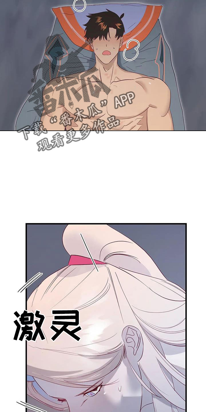 15.jpg