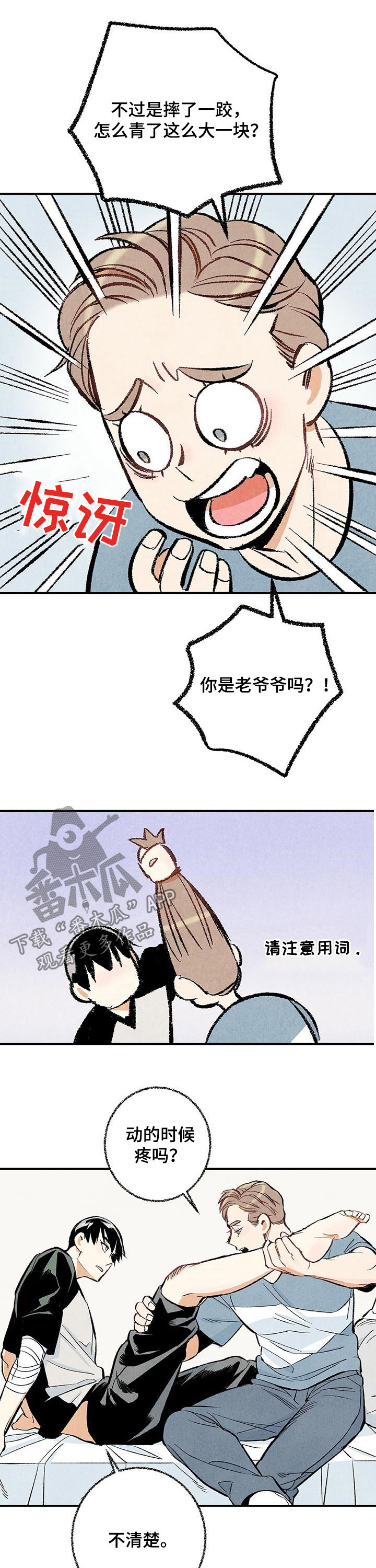 4.jpg