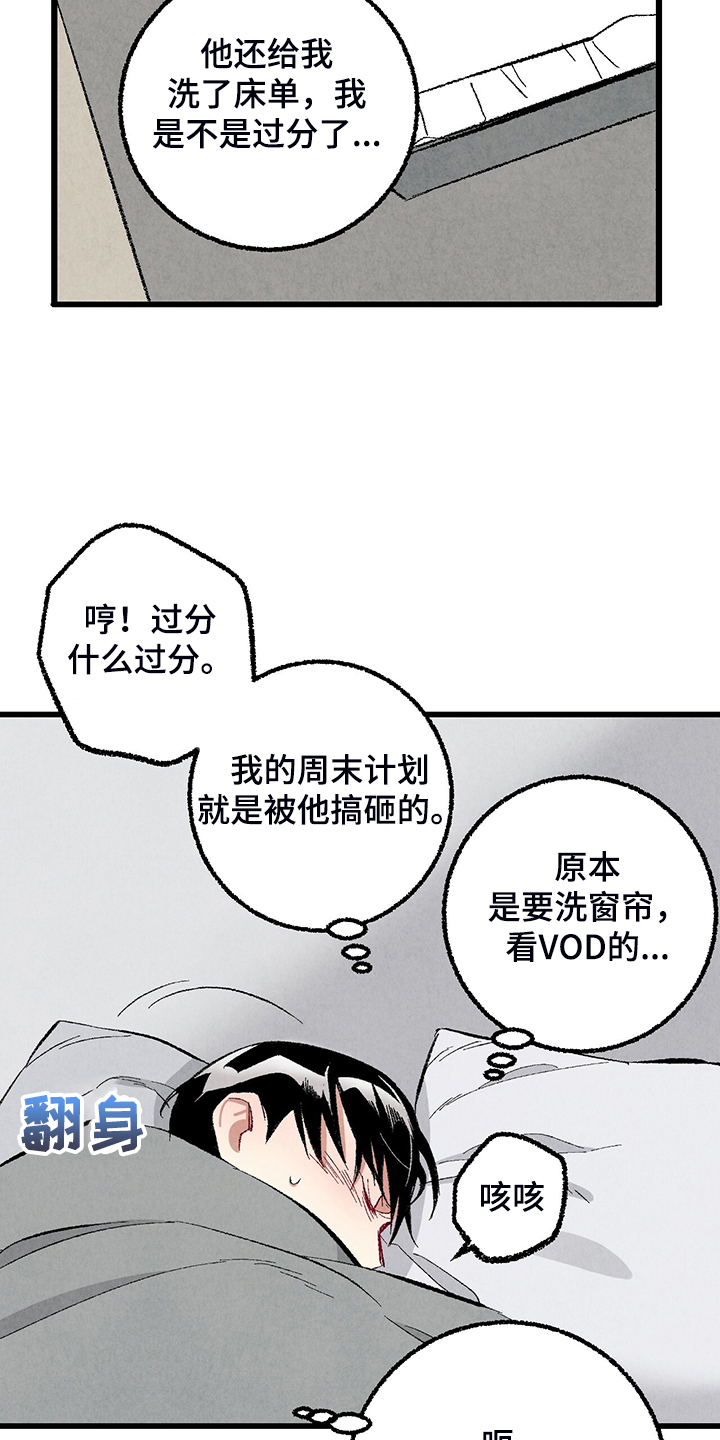 23.jpg