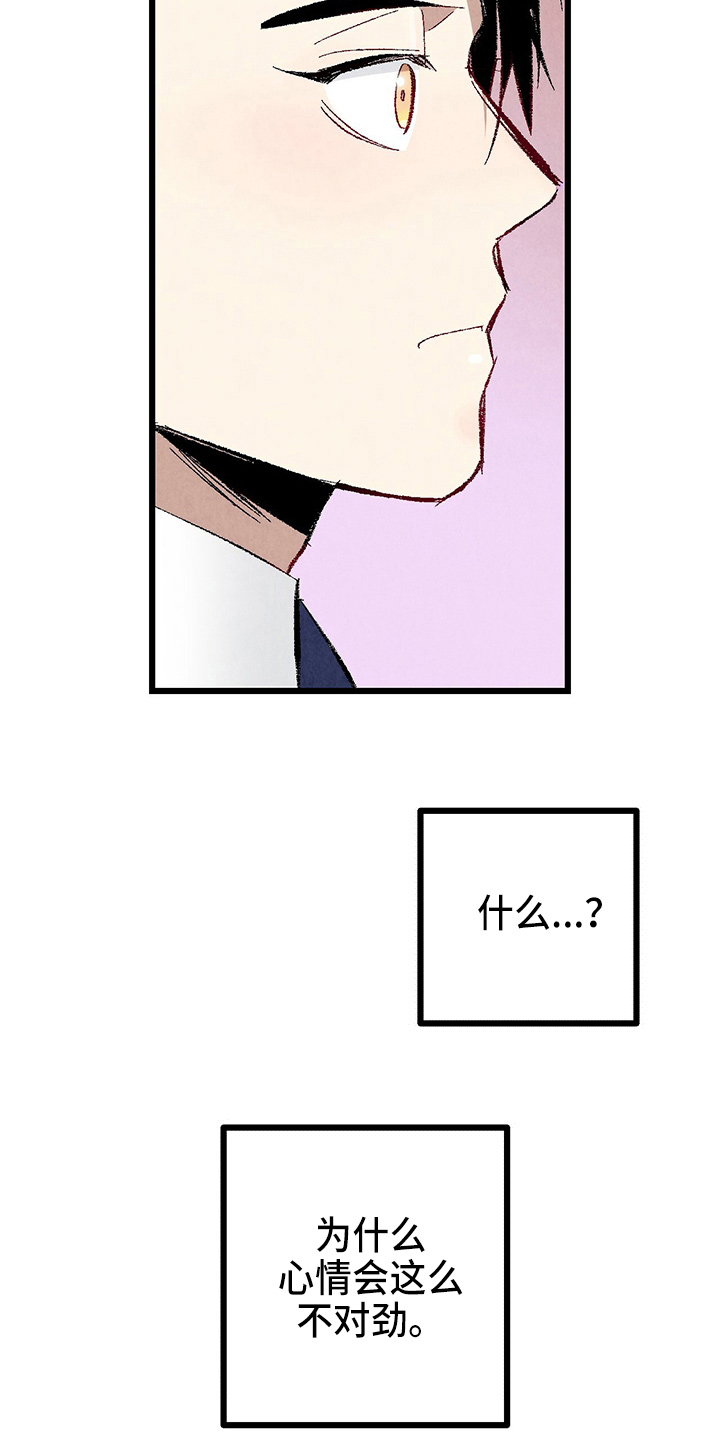 41.jpg