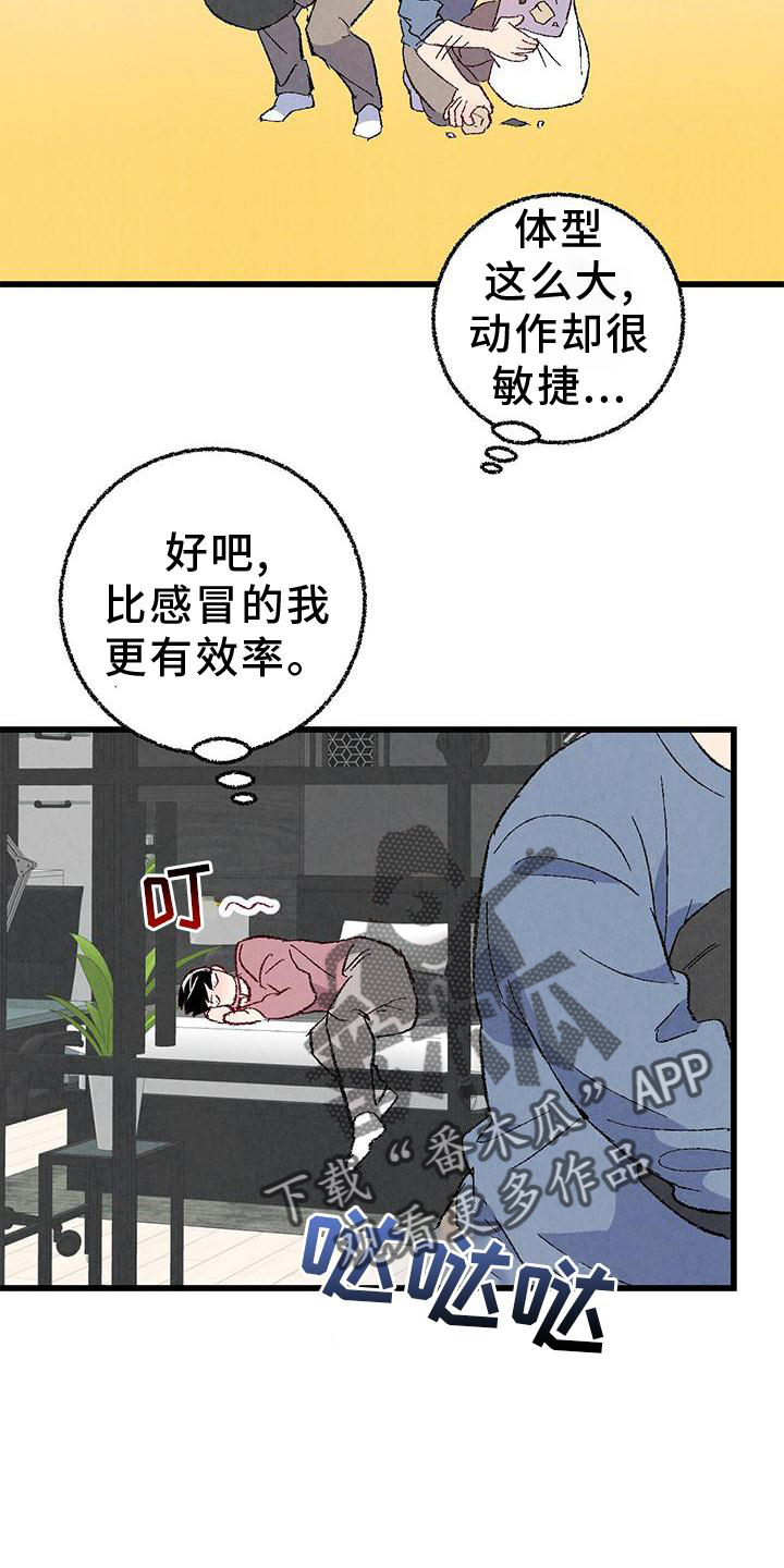 19.jpg