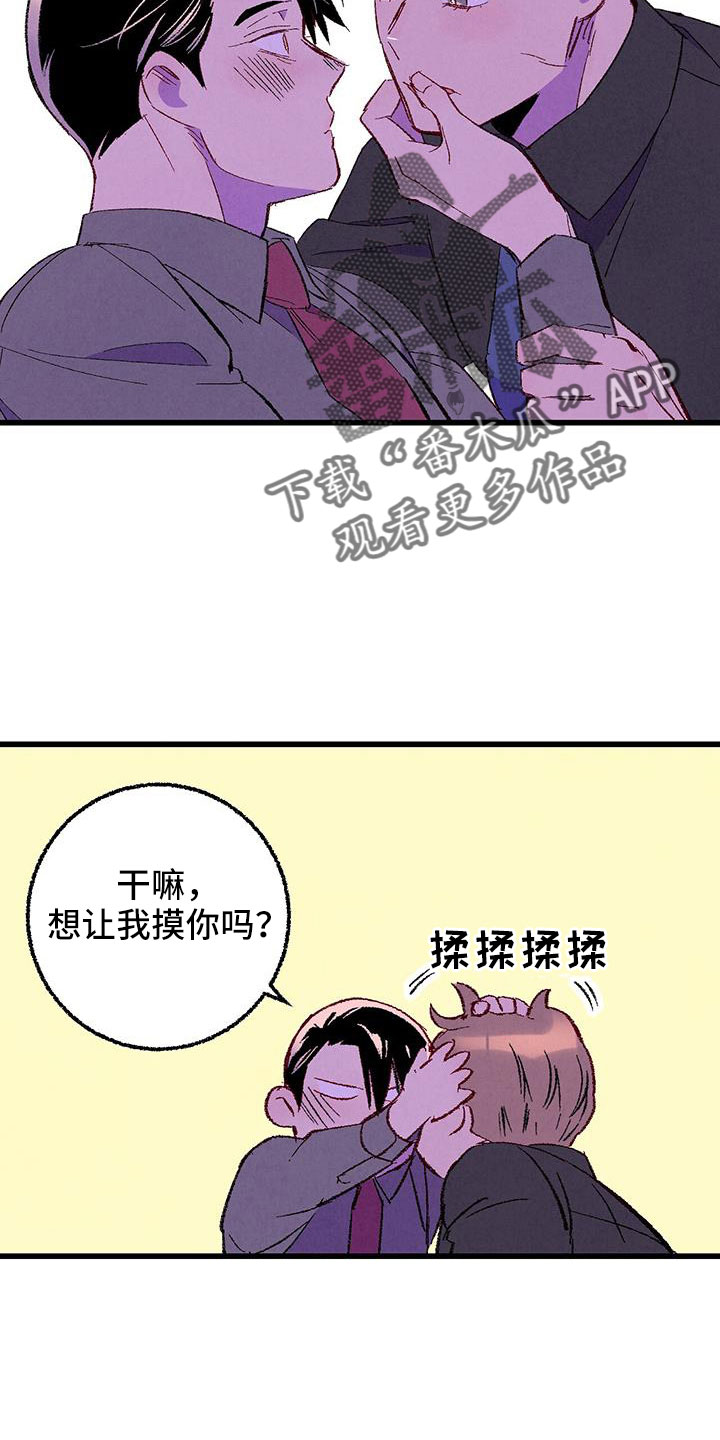 14.jpg