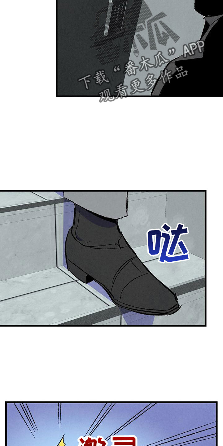 26.jpg