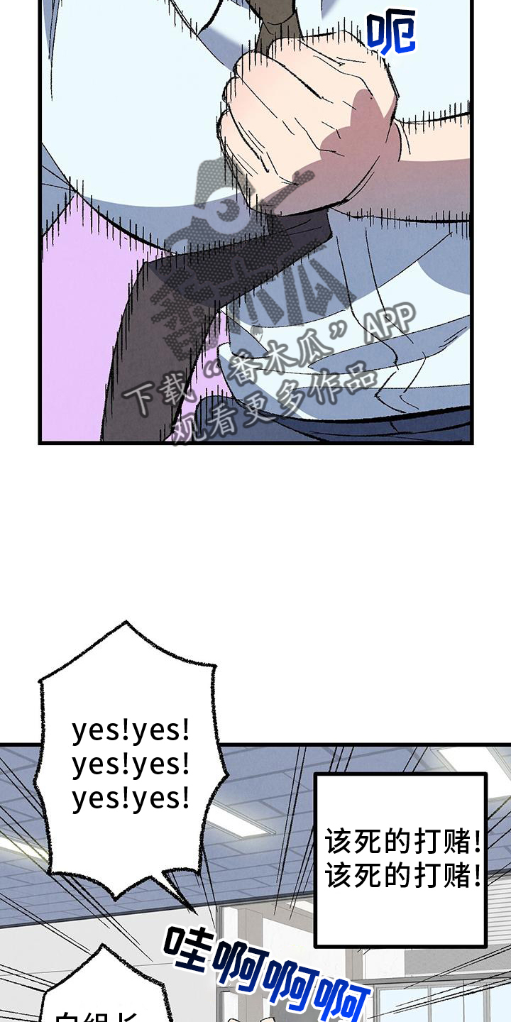 26.jpg