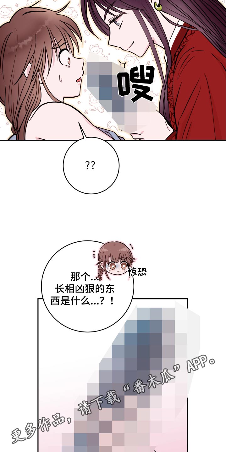 28.jpg
