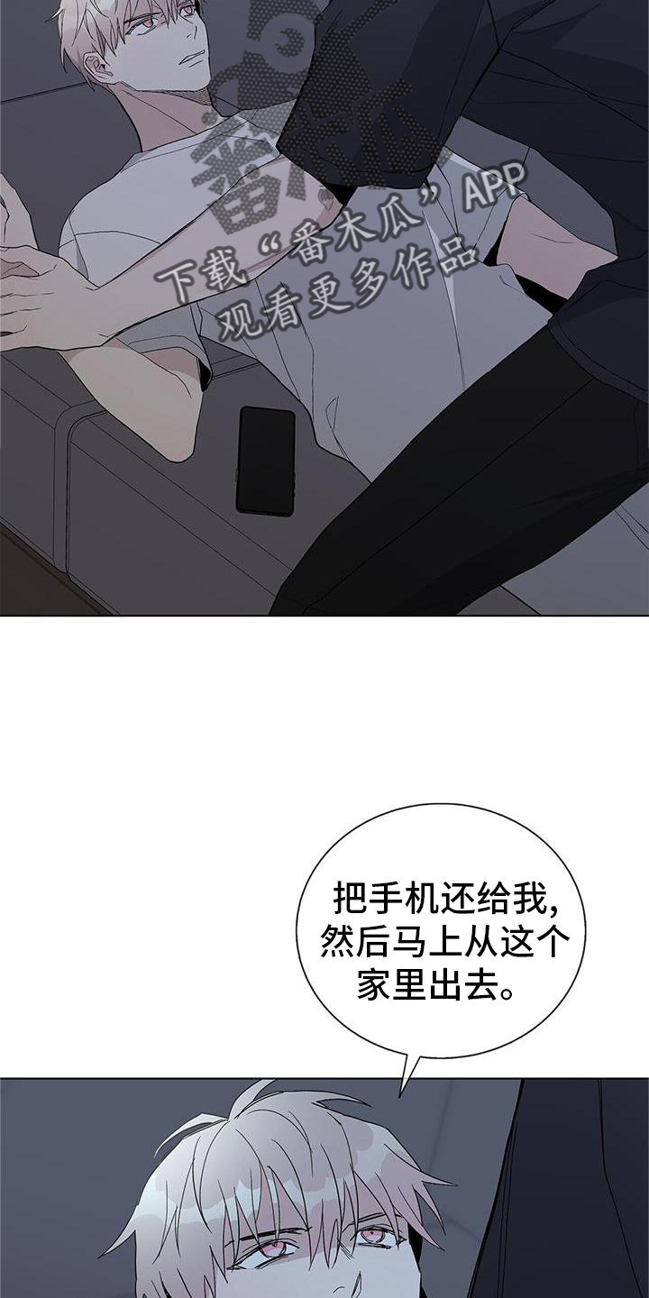 20.jpg