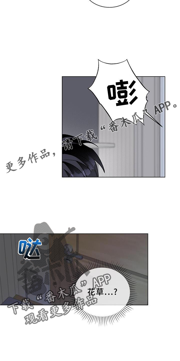 12.jpg