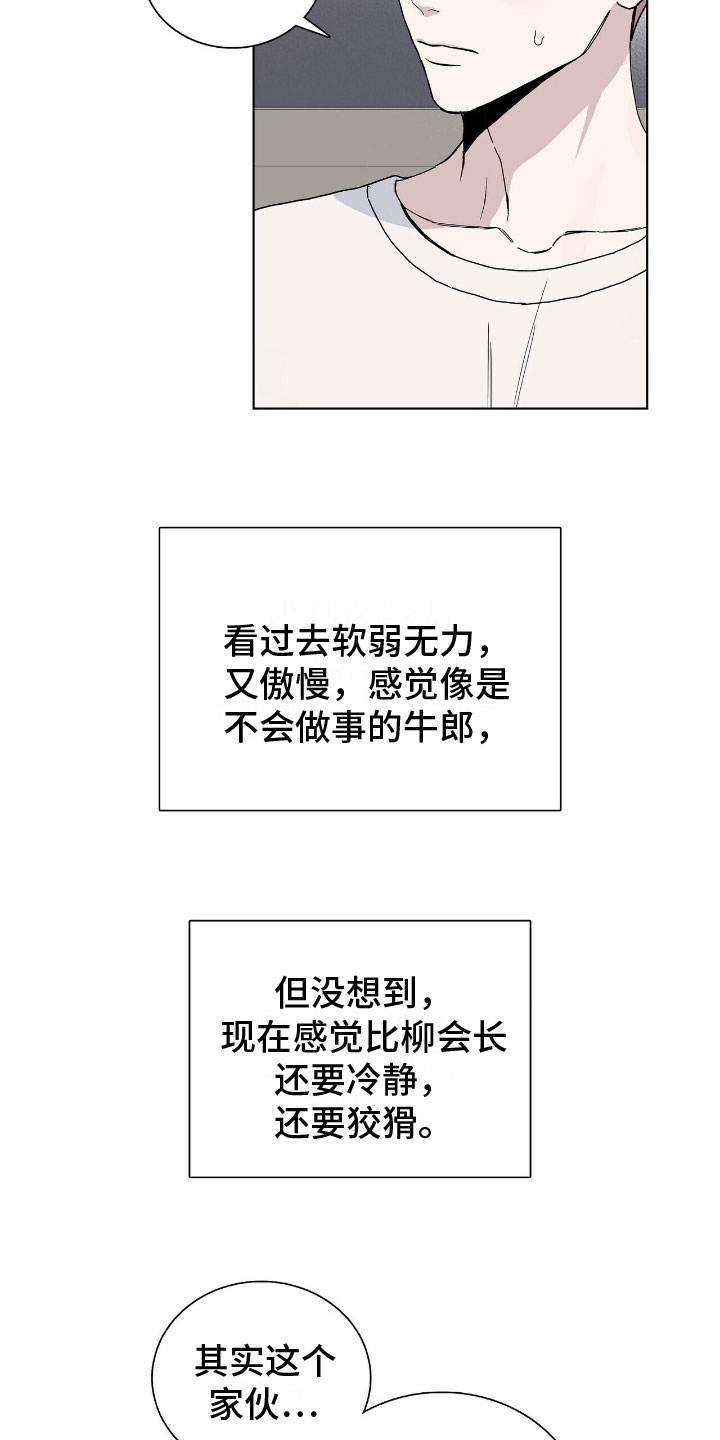 17.jpg