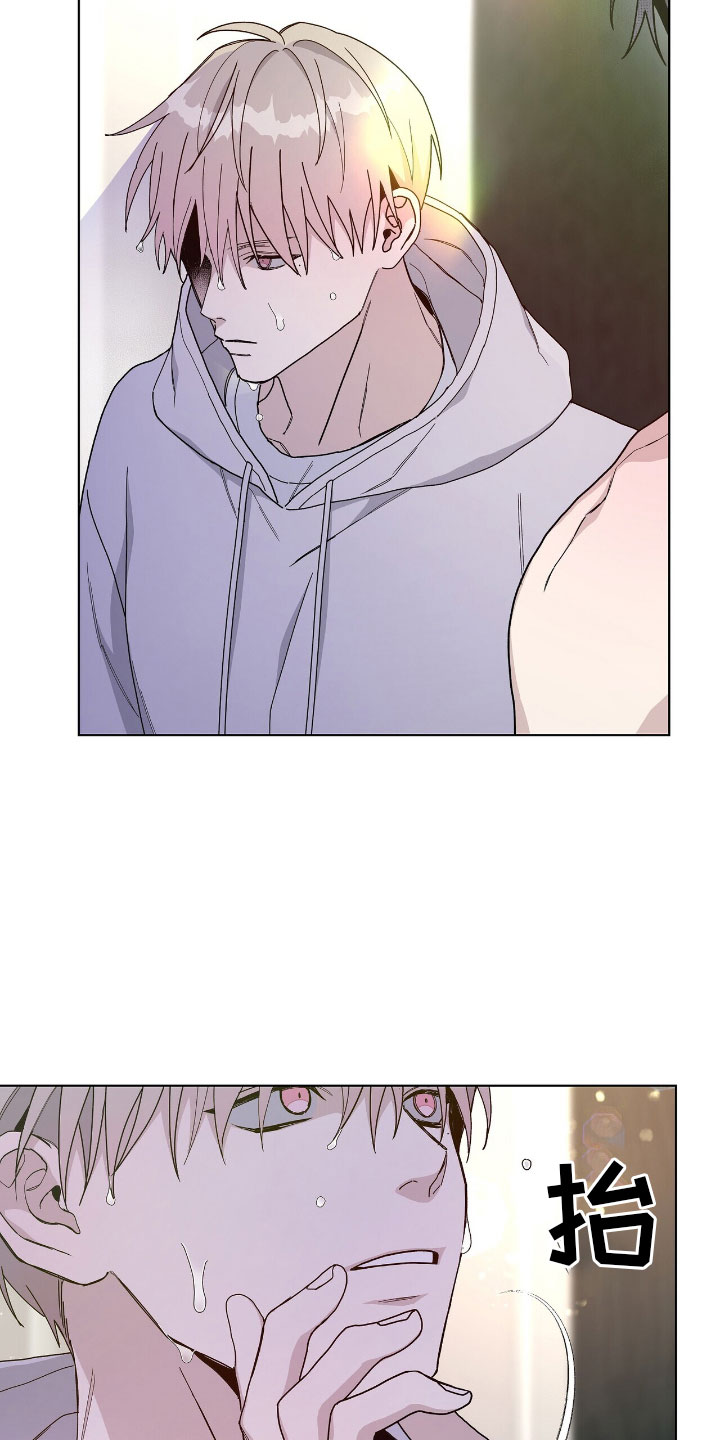 24.jpg