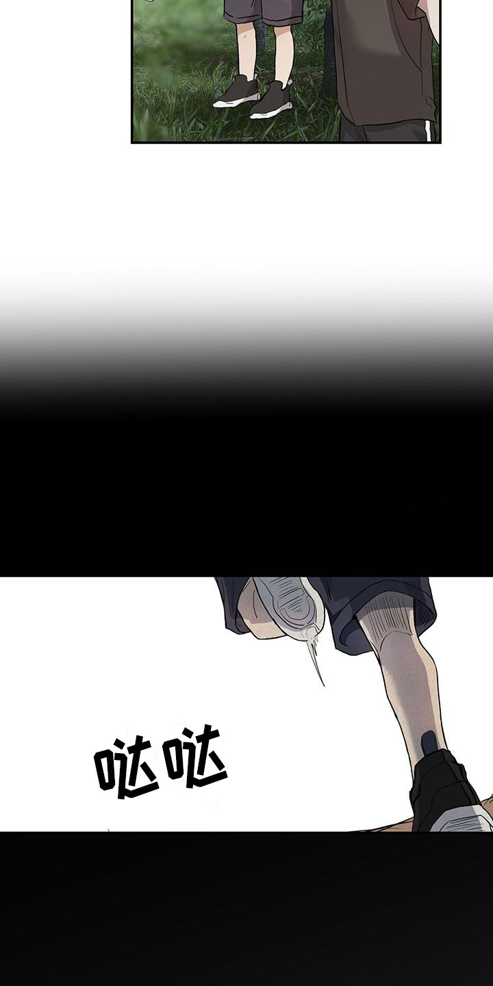 11.jpg