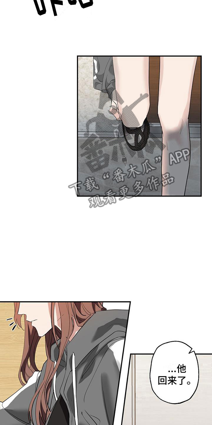 17.jpg