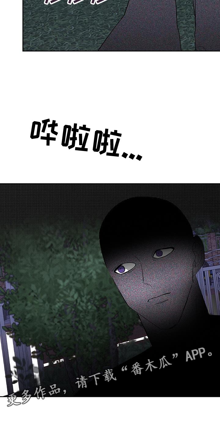 29.jpg