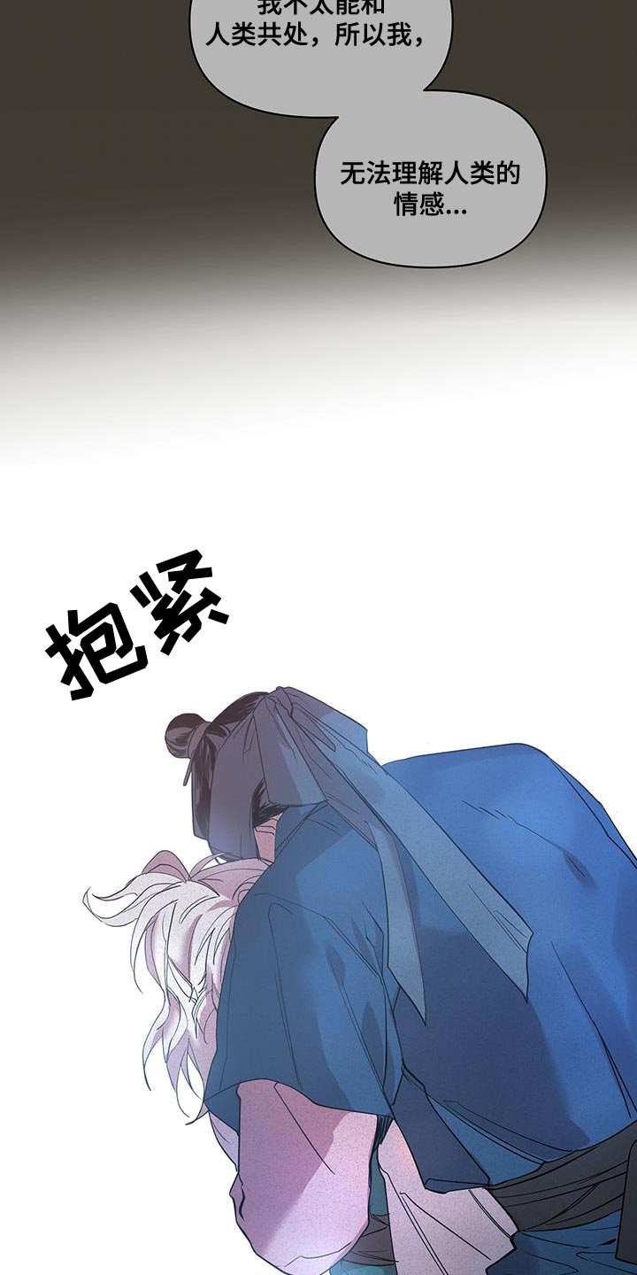 21.jpg