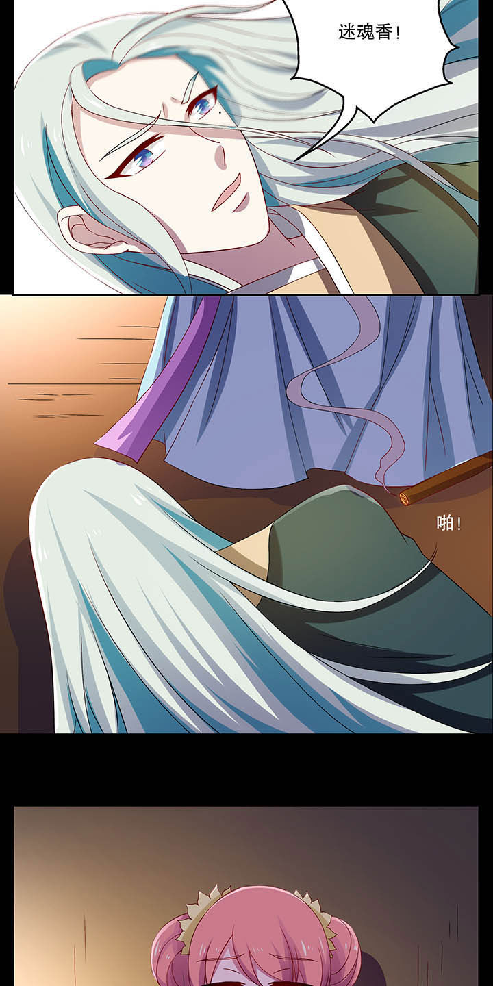 12.jpg