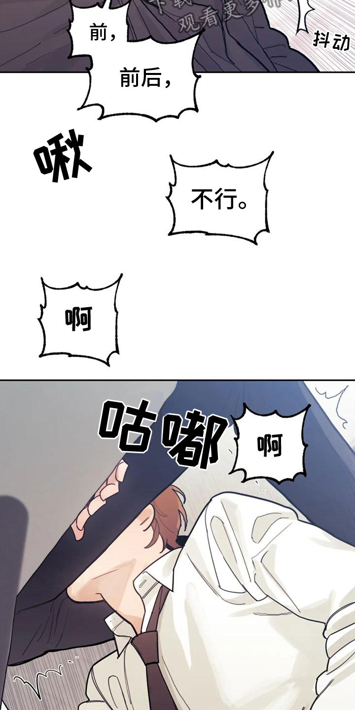 15.jpg