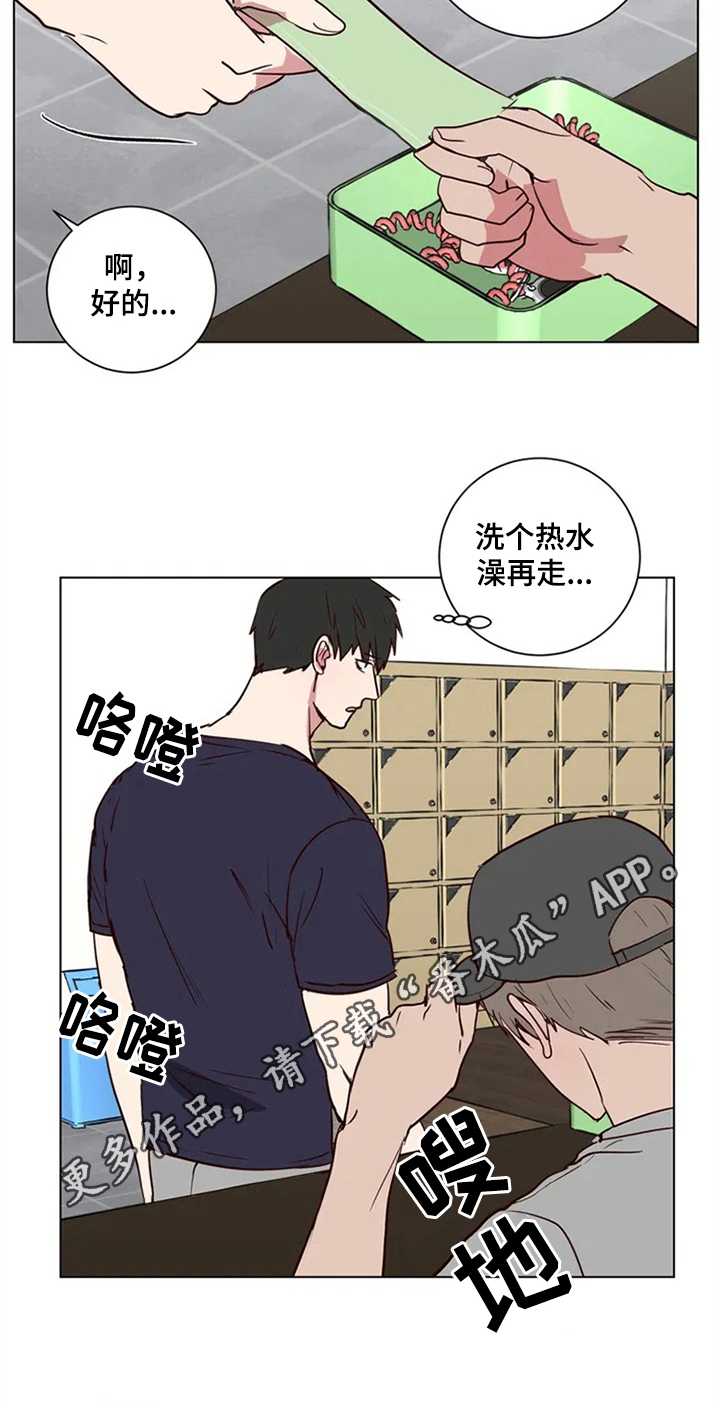 17.jpg