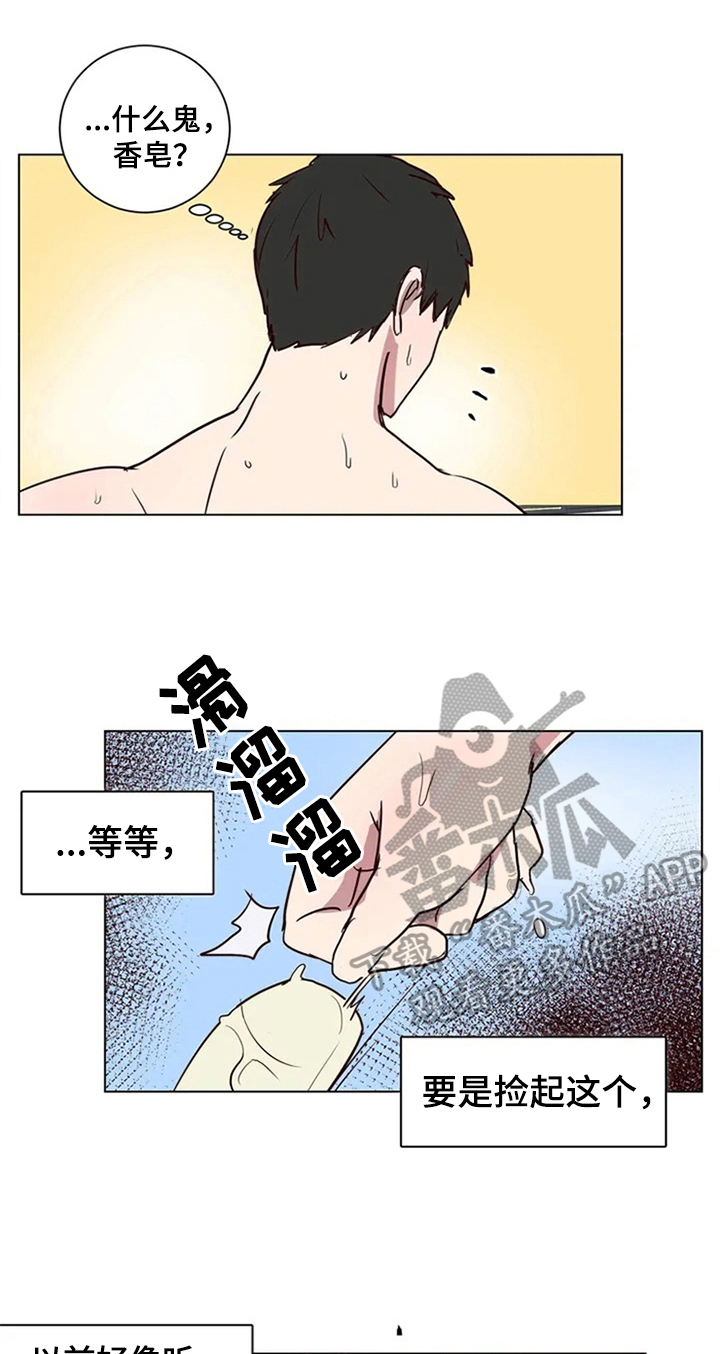 13.jpg