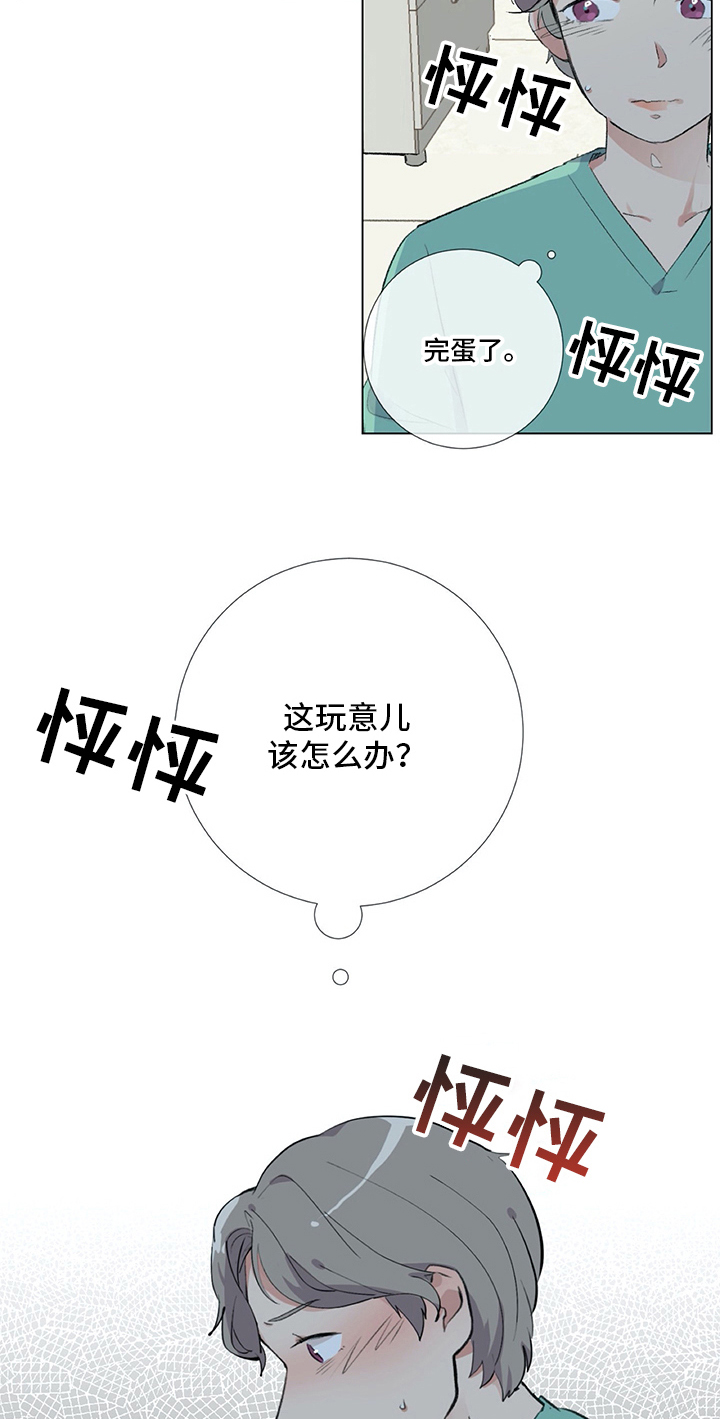 11.jpg