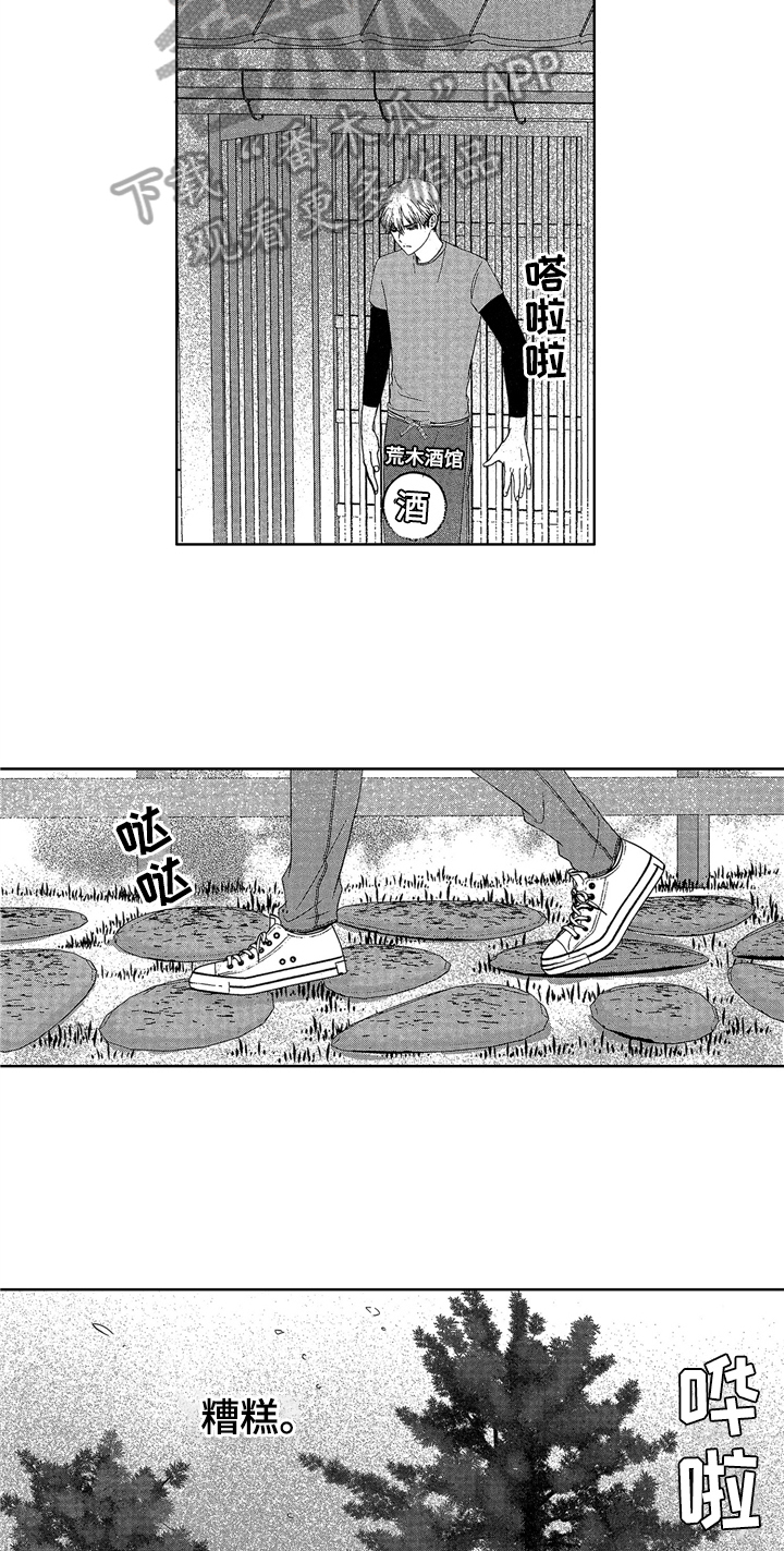 11.jpg