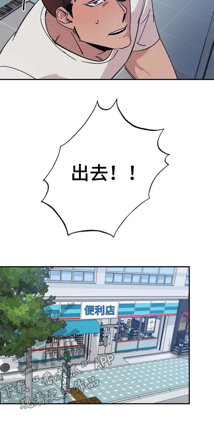 13.jpg