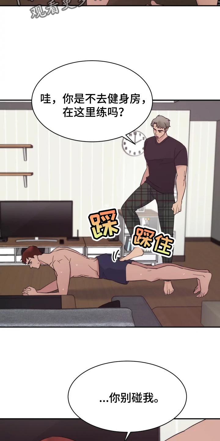 17.jpg