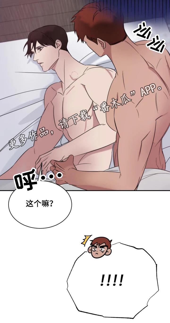 18.jpg