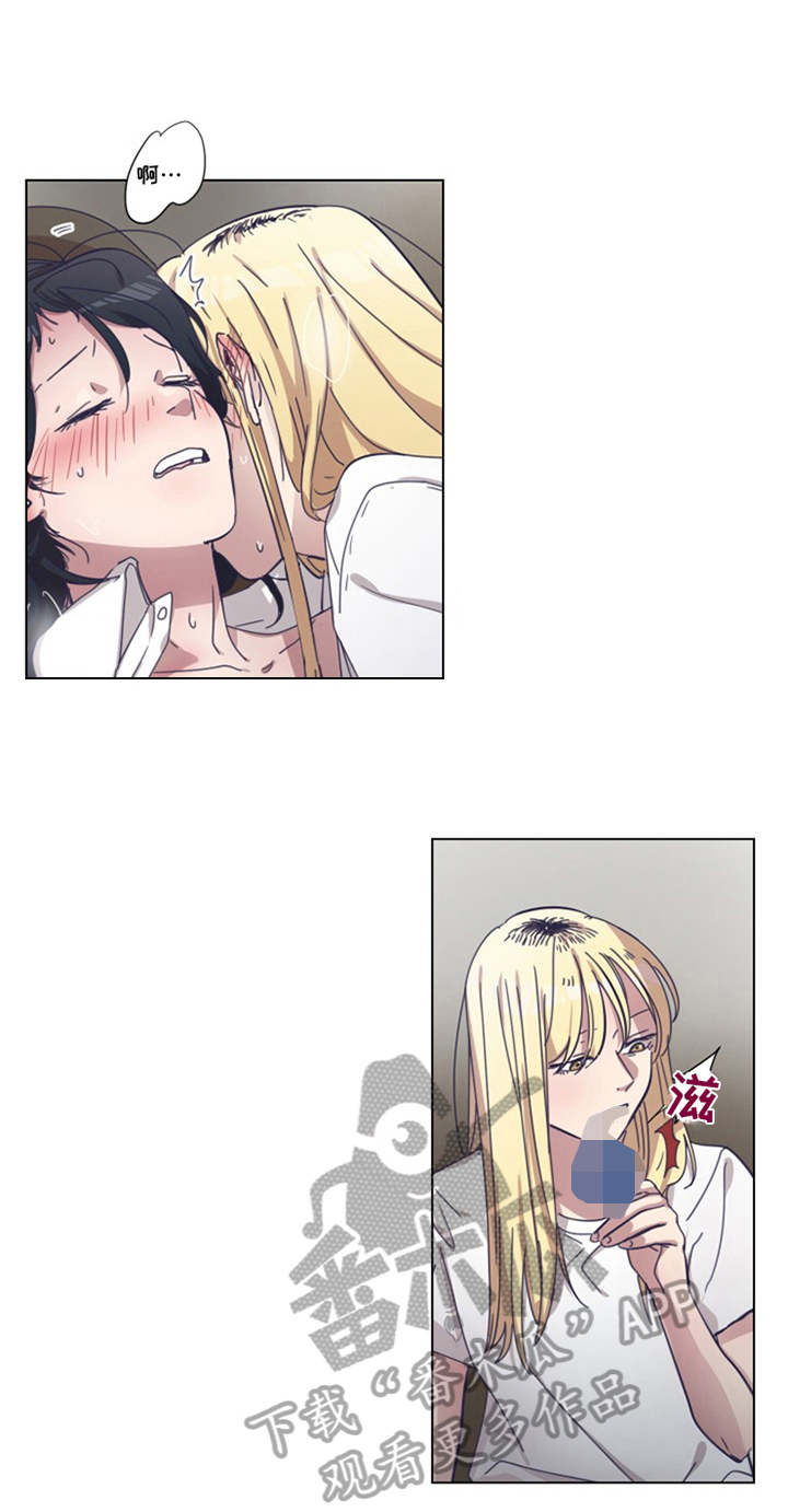 12.jpg