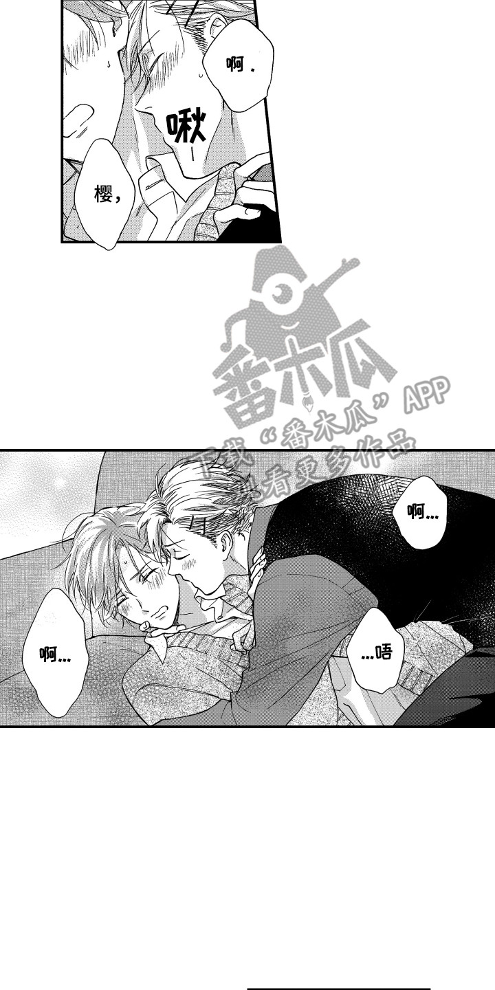 12.jpg