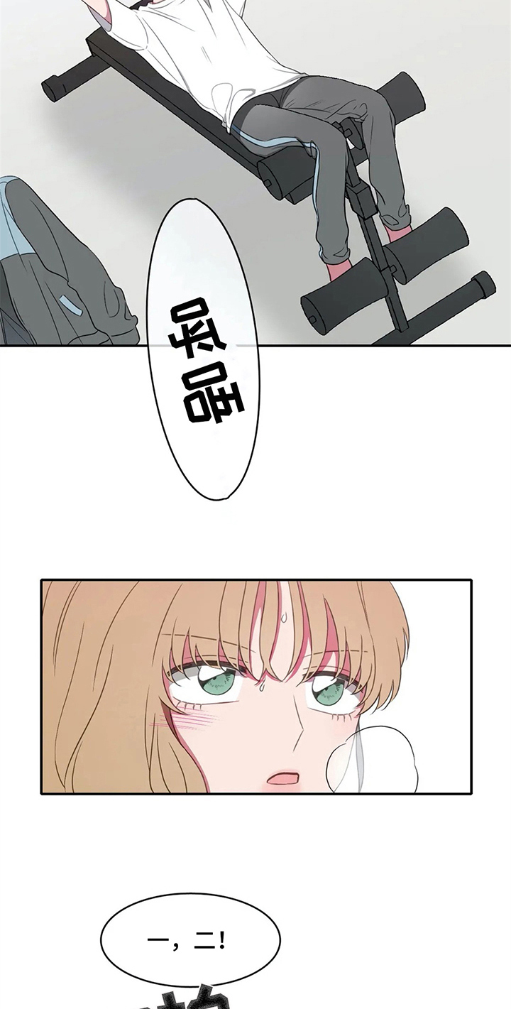 15.jpg