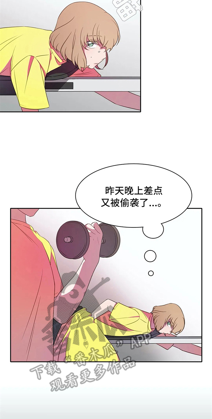 17.jpg