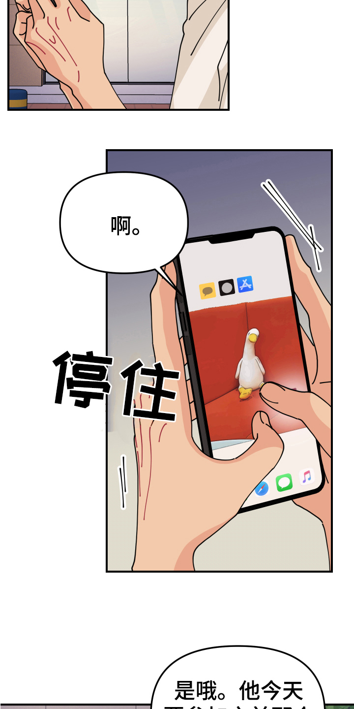14.jpg