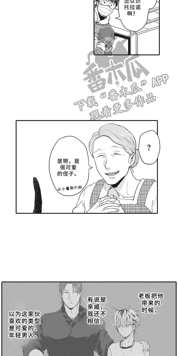 17.jpg