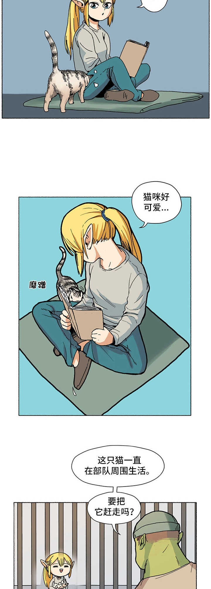 5.jpg