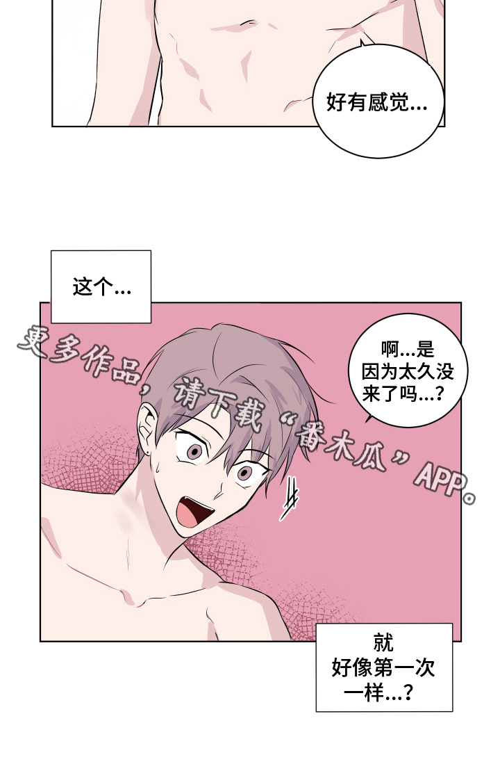 19.jpg