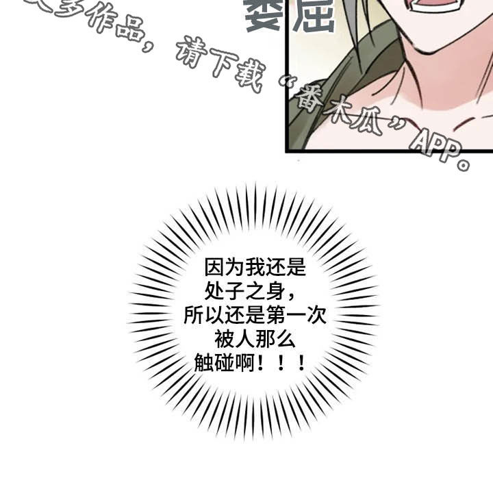 24.jpg