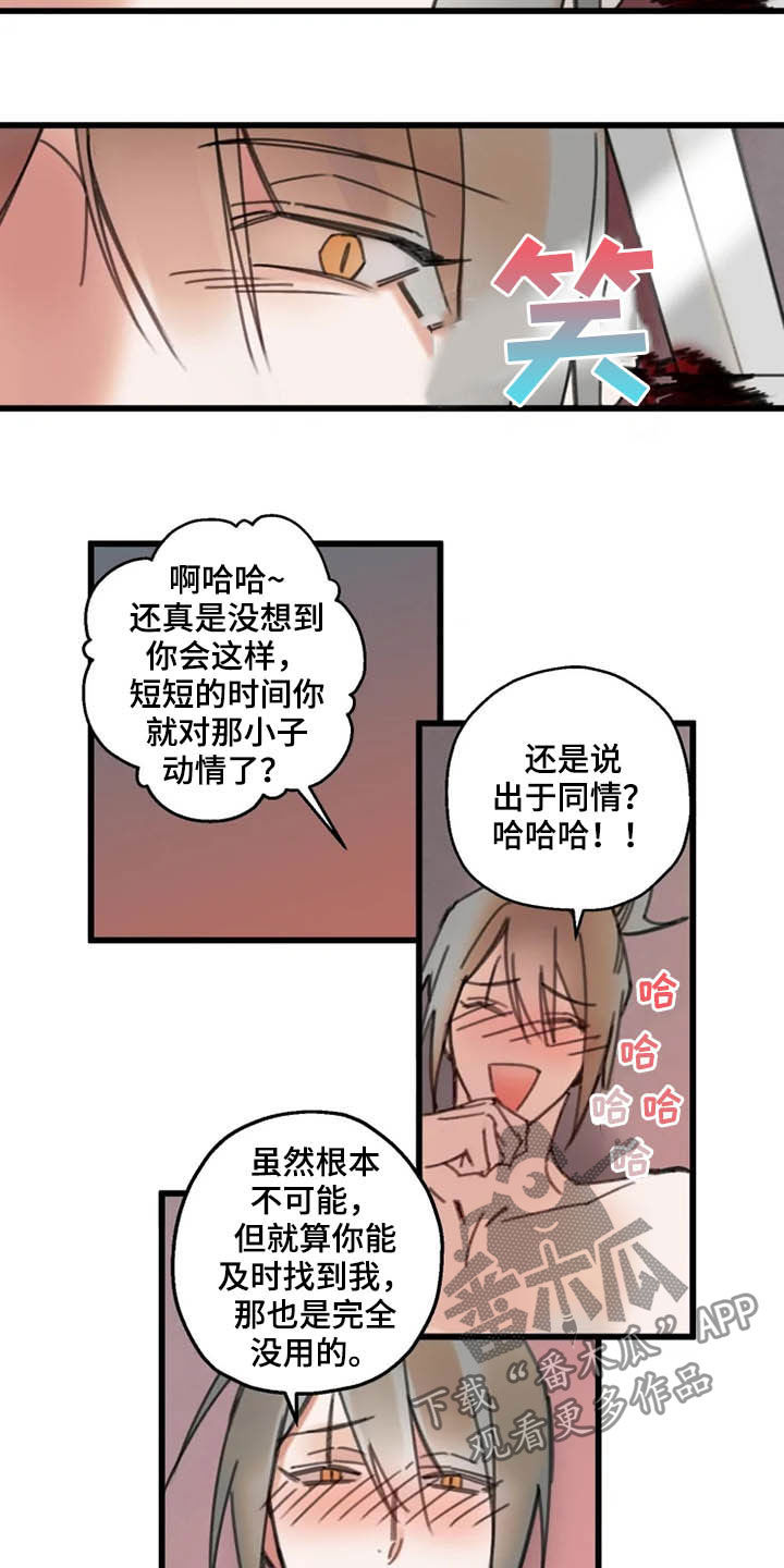 14.jpg