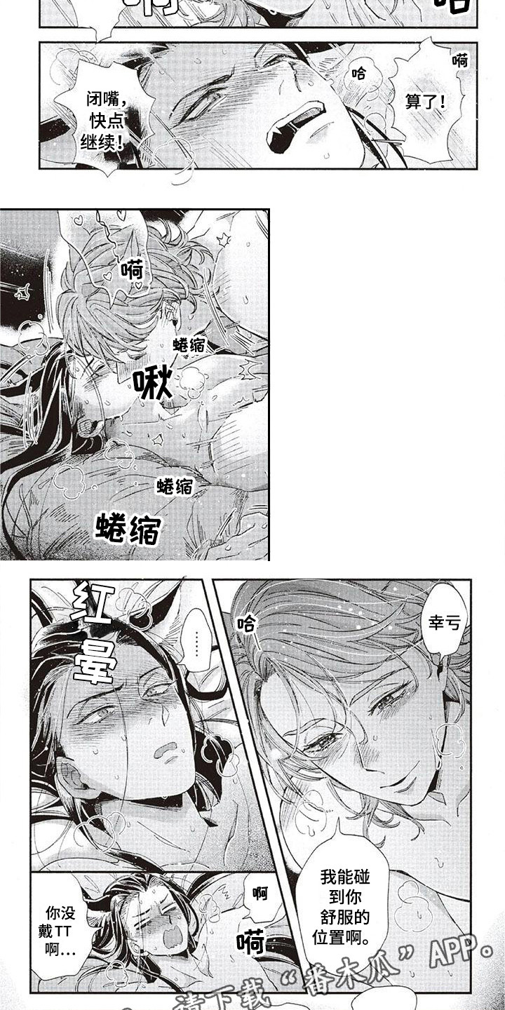 5.jpg