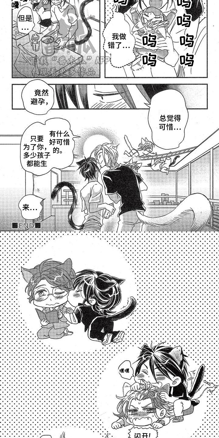 8.jpg