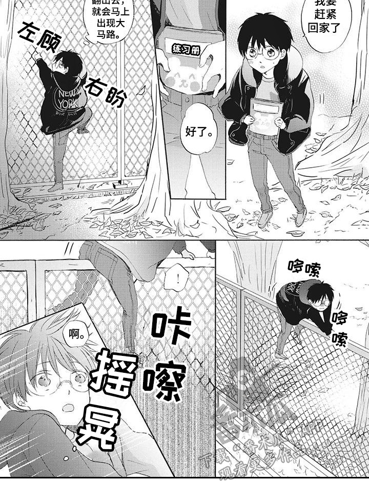 10.jpg