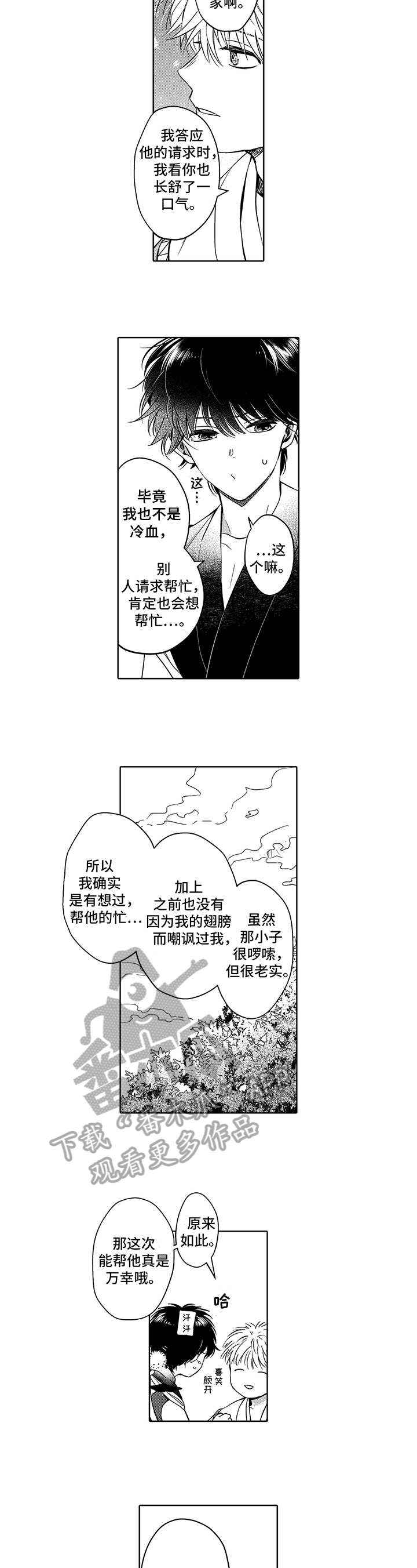 4.jpg