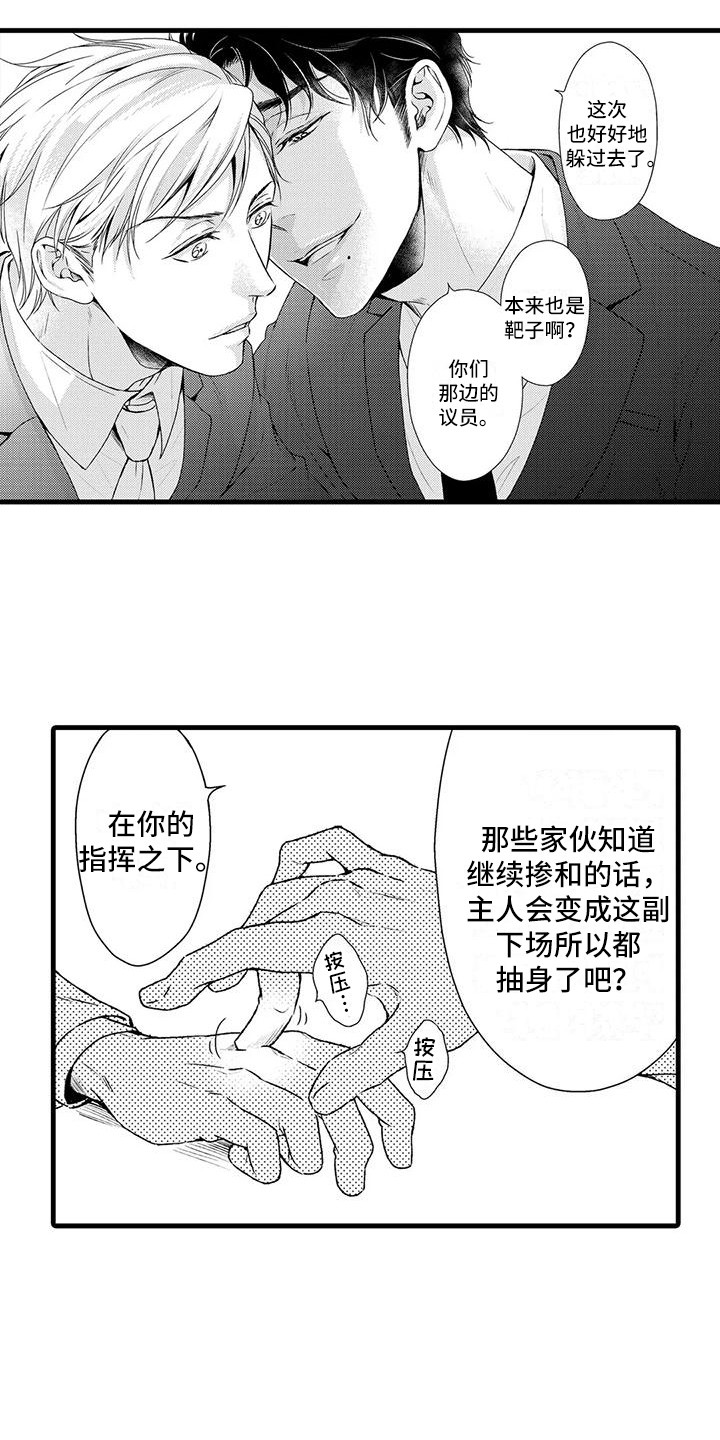 11.jpg