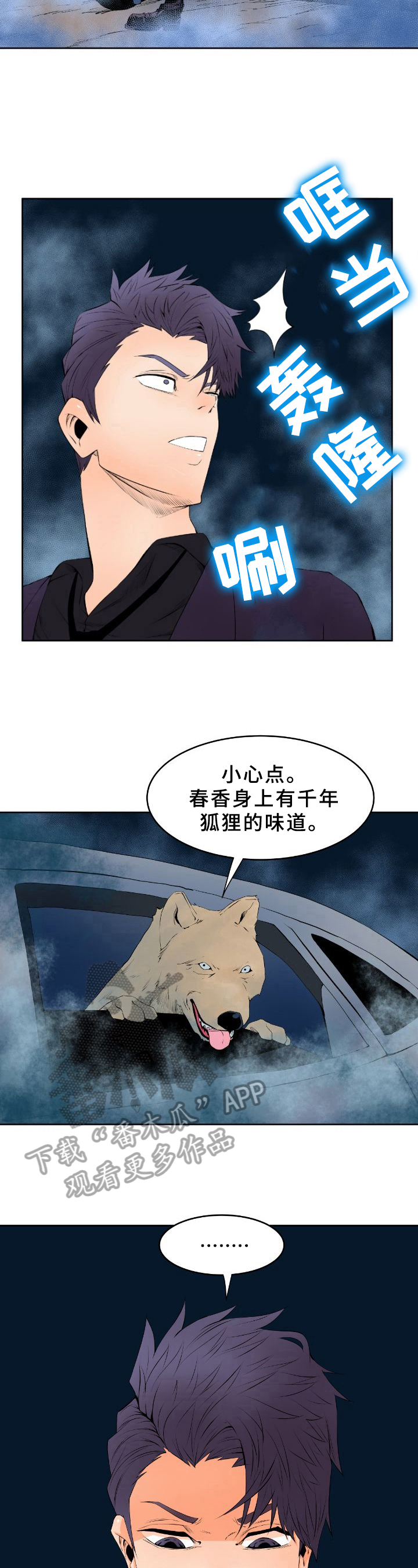 5.jpg