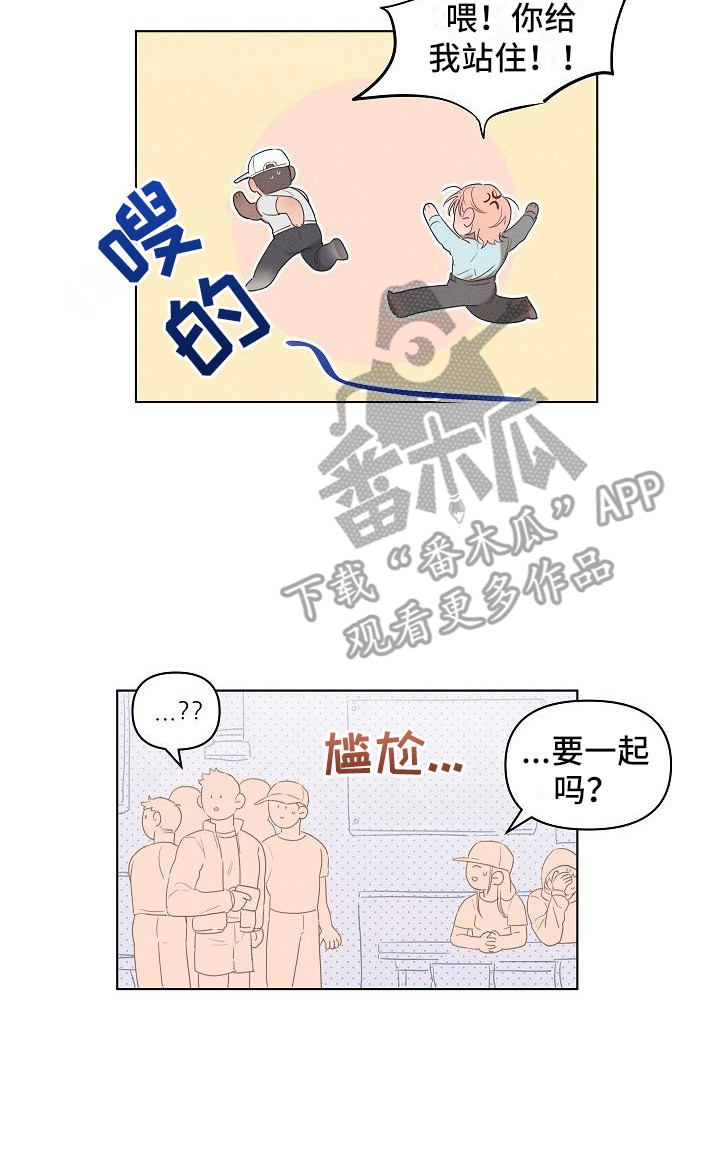 17.jpg