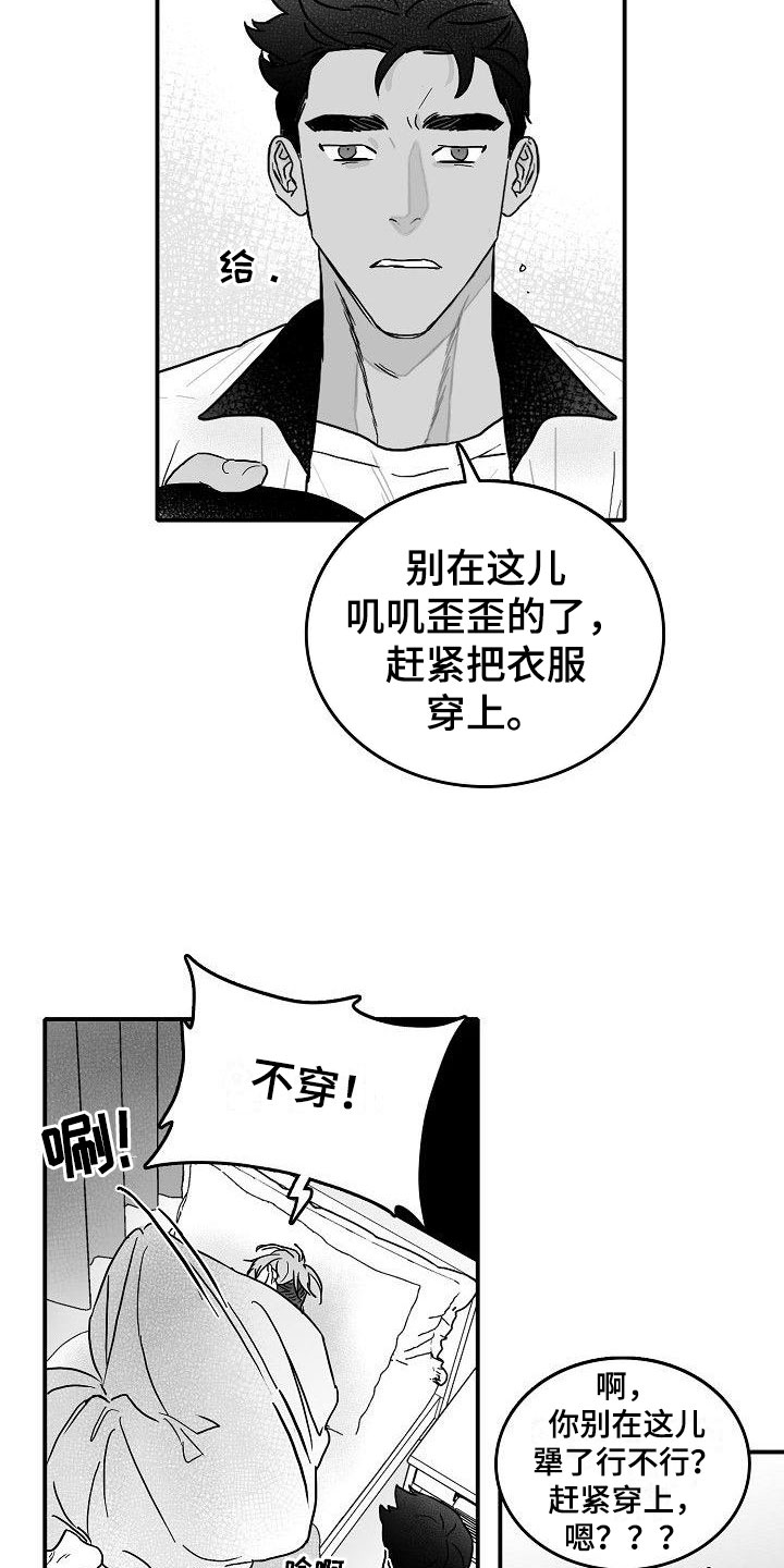 20.jpg