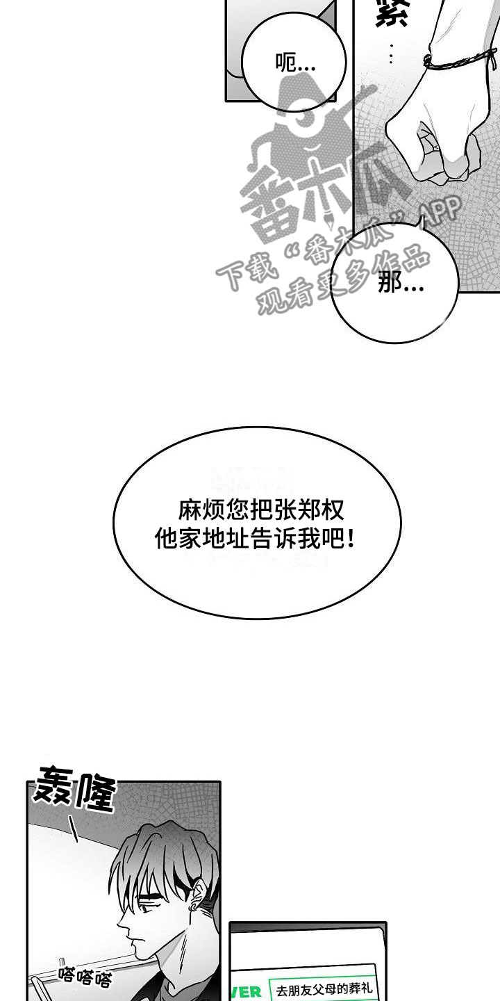 13.jpg